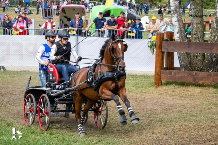 MS v Mnichově 2026 MS v Mnichově 2026
